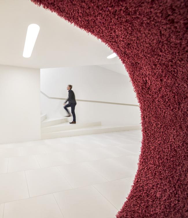 BIM建筑|拥有坦荡自由、简约爽利全景视野的芬兰藏书楼