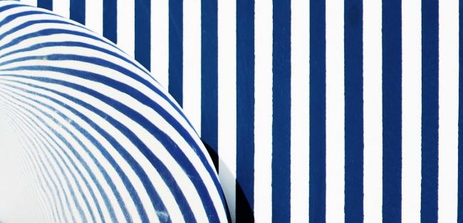 BIM建筑|眩晕的屋子指明年夜海的标的目的：秦皇岛海魂屋 / Wutopia Lab