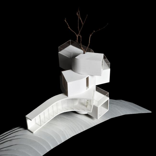 BIM建筑|天然渗入，享受奇特的***体验——齐云山树屋/本戈工作室