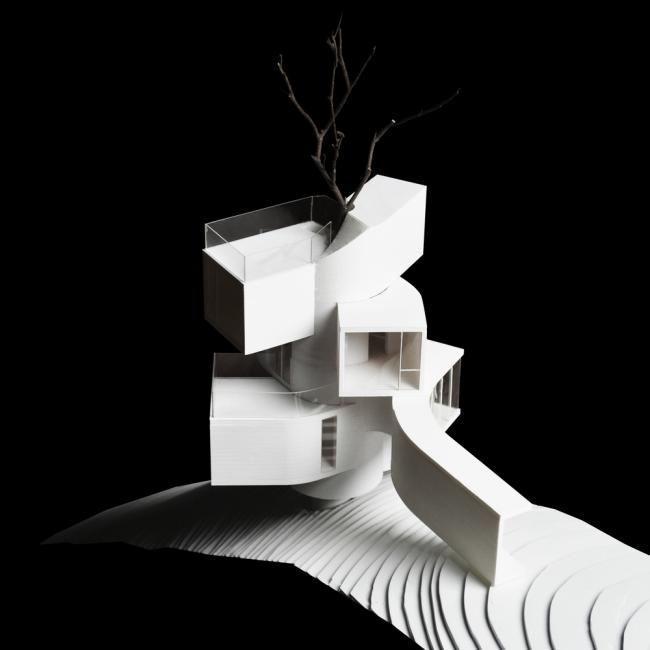 BIM建筑|天然渗入，享受奇特的***体验——齐云山树屋/本戈工作室