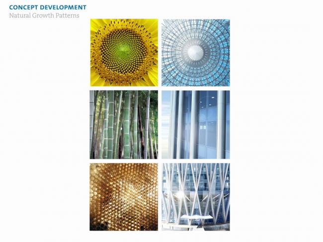 BIM建筑|中国华润年夜厦 / KPF