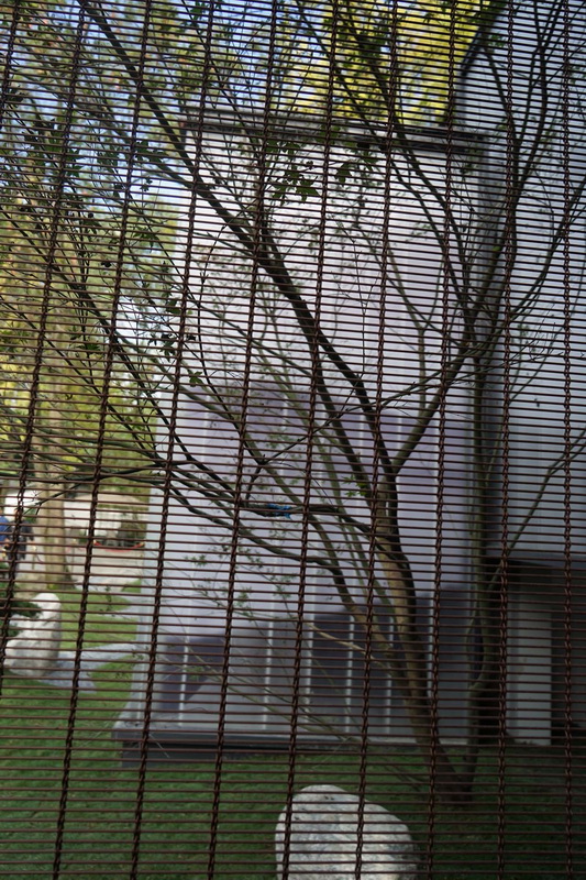 BIM建筑|成都易园小筑 / 上海年夜椽建筑设计事务所