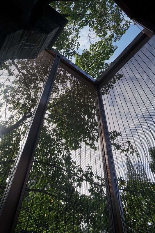 BIM建筑|成都易园小筑 / 上海年夜椽建筑设计事务所