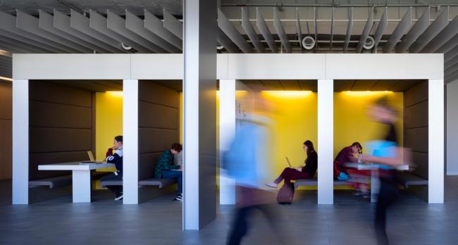 BIM建筑|科尔斯·泰克研讨中间