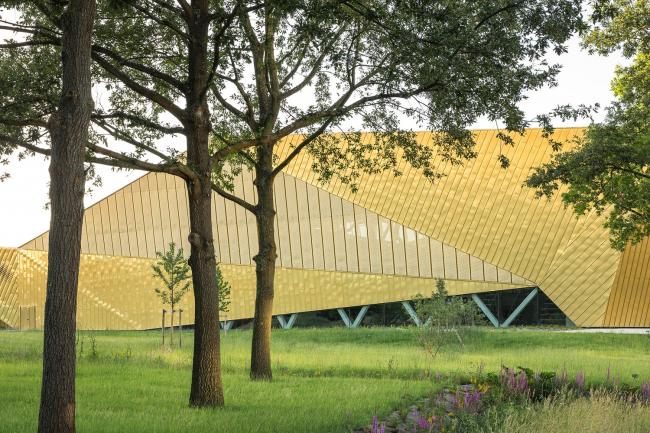 BIM建筑|绿草蓝天中的一抹金：La Fontaine体育中间