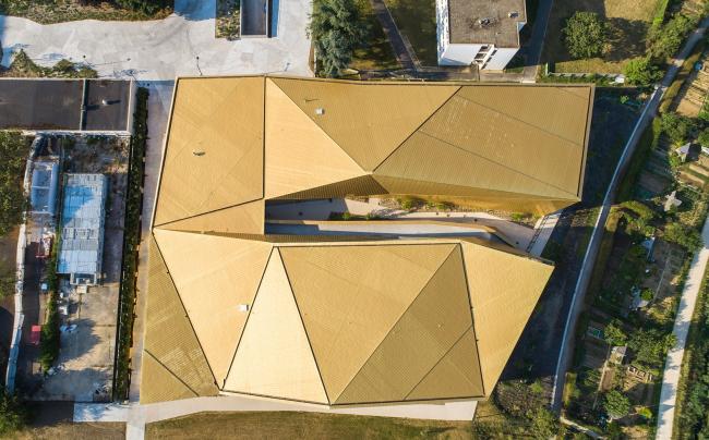 BIM建筑|绿草蓝天中的一抹金：La Fontaine体育中间