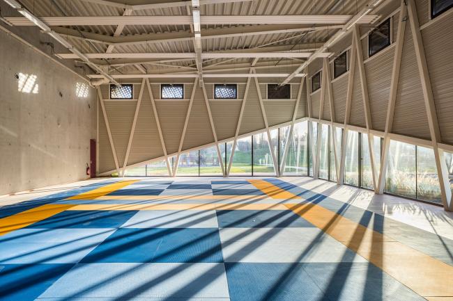 BIM建筑|绿草蓝天中的一抹金：La Fontaine体育中间