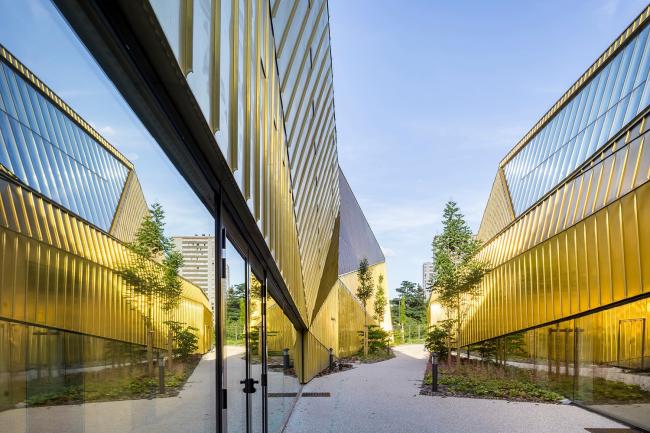 BIM建筑|绿草蓝天中的一抹金：La Fontaine体育中间