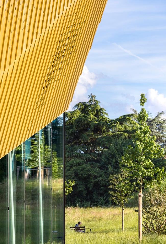 BIM建筑|绿草蓝天中的一抹金：La Fontaine体育中间