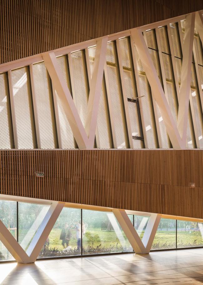 BIM建筑|绿草蓝天中的一抹金：La Fontaine体育中间