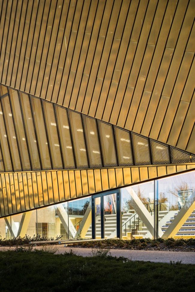 BIM建筑|绿草蓝天中的一抹金：La Fontaine体育中间