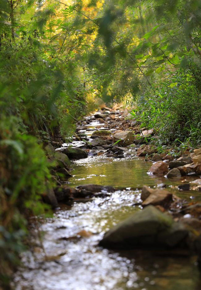 BIM建筑|慧心谷度假村 / 墨璞建筑设计
