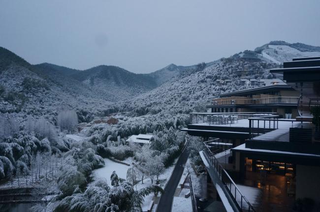 BIM建筑|慧心谷度假村 / 墨璞建筑设计