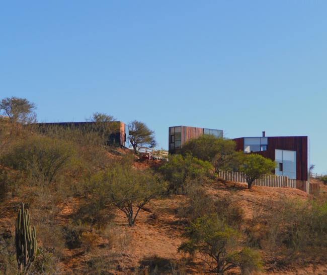 BIM建筑|染上了时光的印记——“老化”的美感：智利橡树室第