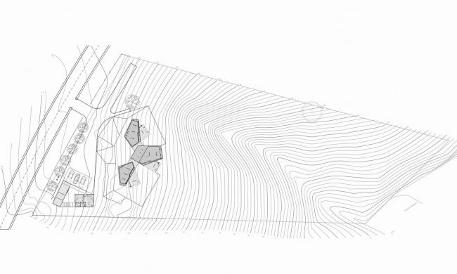 BIM建筑|染上了时光的印记——“老化”的美感：智利橡树室第
