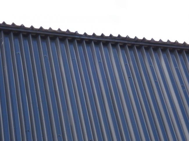 BIM建筑|一座漂浮于海上的渔人之家——智利浮动酒店