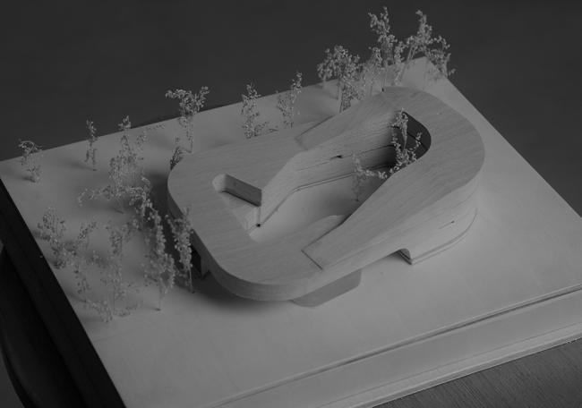 BIM建筑|gad作品 | 探寻天空之城：杨柳郡社区小学与幼儿园