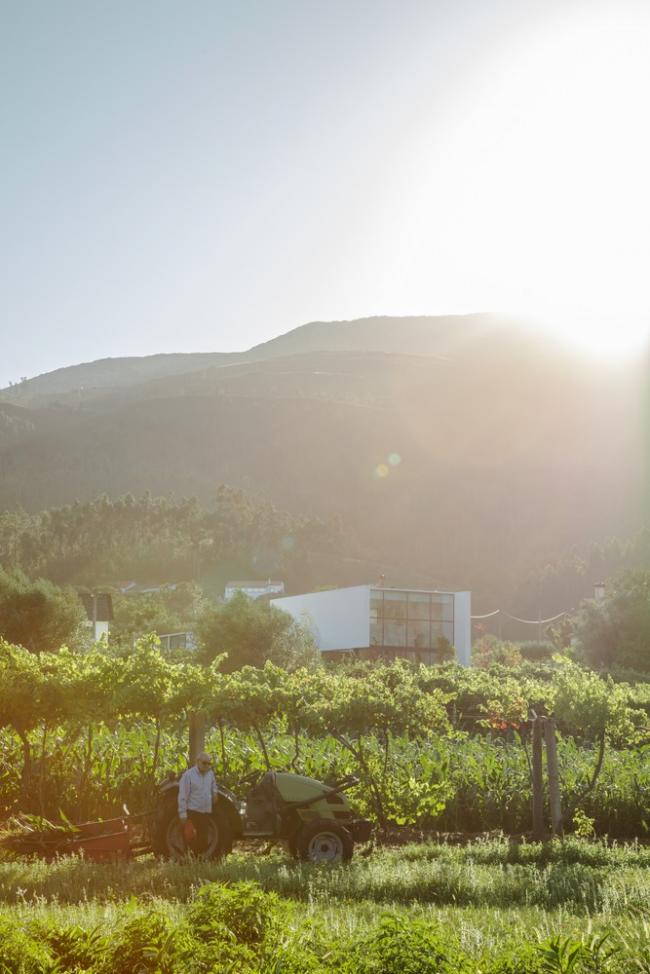 BIM建筑|葡萄牙村落与后现代主义下谱奏的现代村歌：Gafarim之家