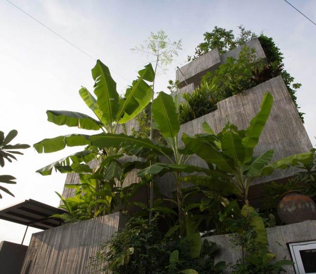 BIM建筑|马来西亚植物盒室第 / Formzero