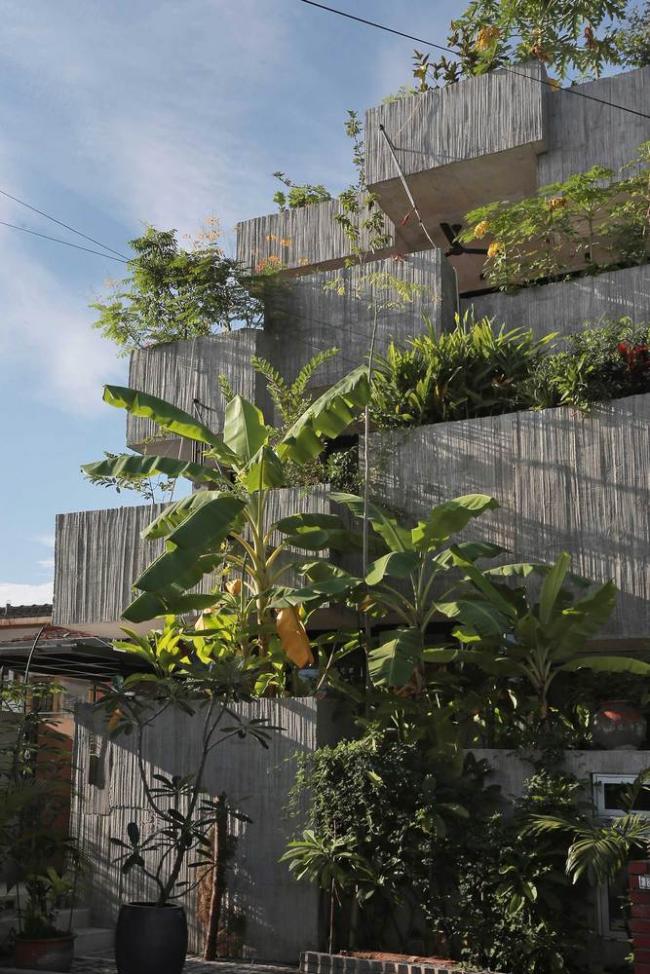 BIM建筑|马来西亚植物盒室第 / Formzero