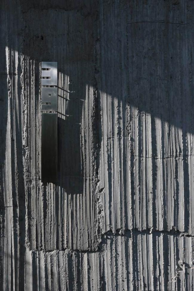 BIM建筑|马来西亚植物盒室第 / Formzero