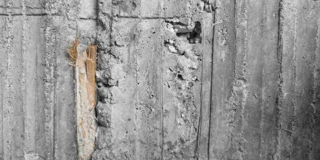 BIM建筑|马来西亚植物盒室第 / Formzero