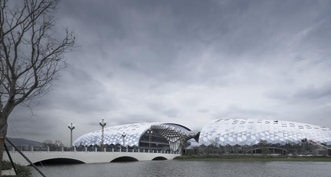 BIM建筑|结合国地舆信息治理论坛德清永远会址 / 浙江年夜学建筑设计研讨院有限公司