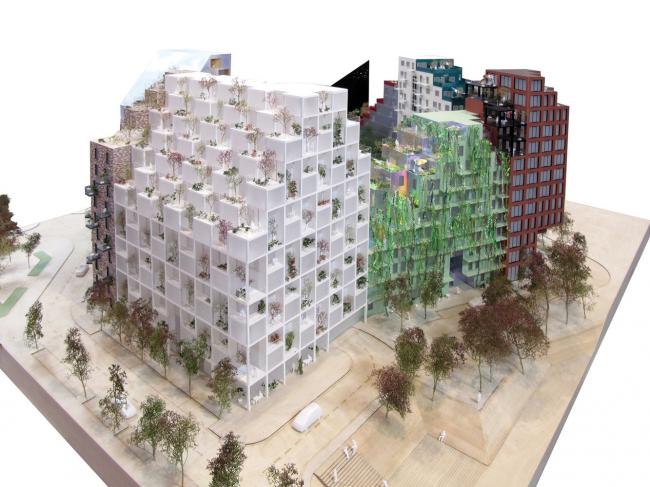 BIM建筑|阿姆斯特丹具有将来主义颜色的室第区