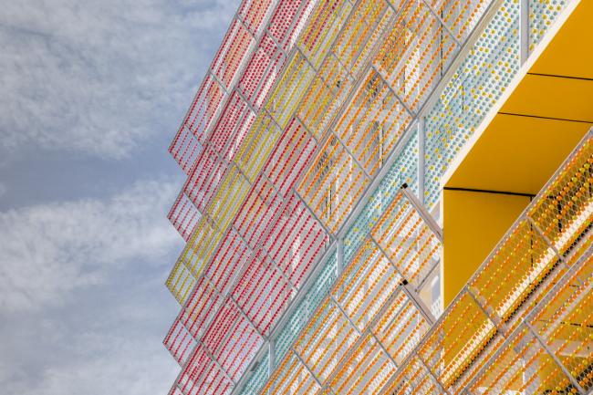 BIM建筑|梦幻般的蓝色操场：濮家小学濮家校区整体改革/形而上+杭州橡地建筑