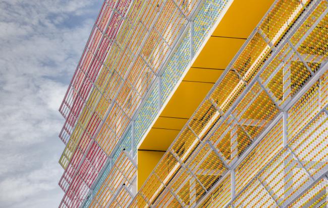 BIM建筑|梦幻般的蓝色操场：濮家小学濮家校区整体改革/形而上+杭州橡地建筑