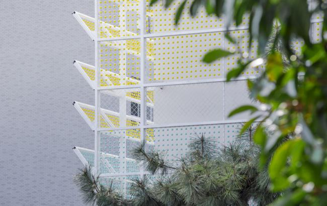 BIM建筑|梦幻般的蓝色操场：濮家小学濮家校区整体改革/形而上+杭州橡地建筑