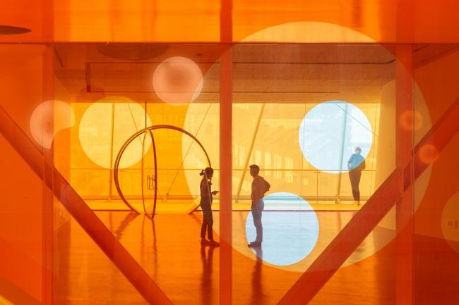 BIM建筑|普拉森西亚会堂和会议中间 / Selgas Cano