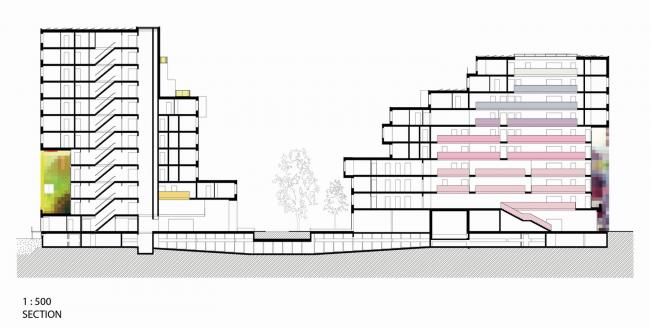 BIM建筑|像素化体快谱奏的俏皮乐章：阿姆斯特丹夏季公寓