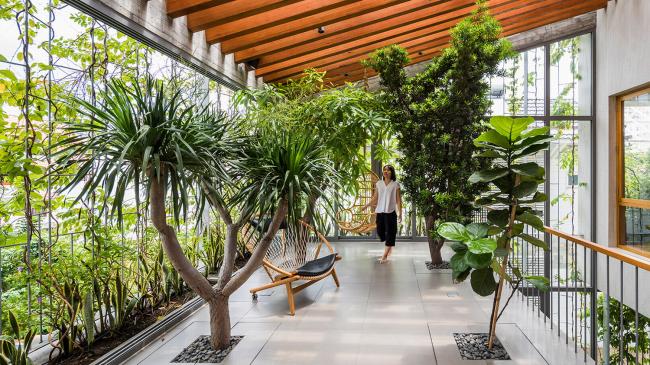 BIM建筑|像植物一样光合感化——盛满阳光与绿意的越南公园室第