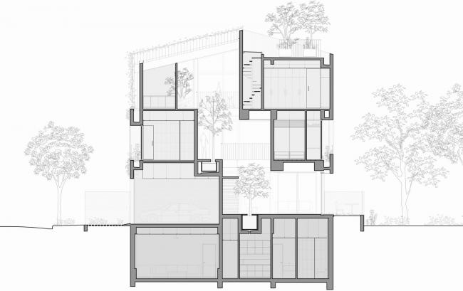 BIM建筑|像植物一样光合感化——盛满阳光与绿意的越南公园室第