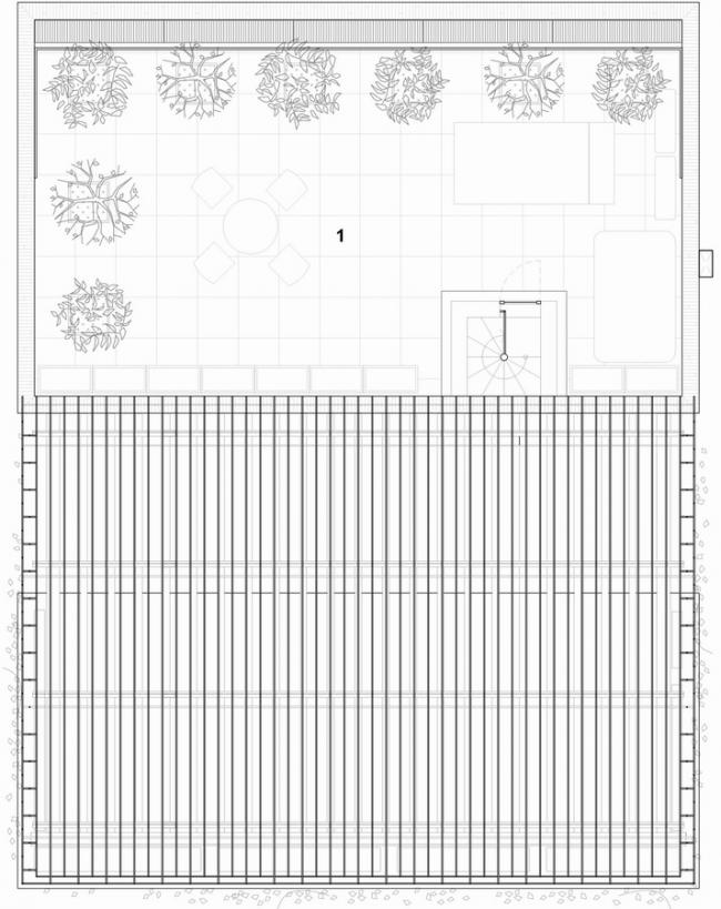 BIM建筑|像植物一样光合感化——盛满阳光与绿意的越南公园室第