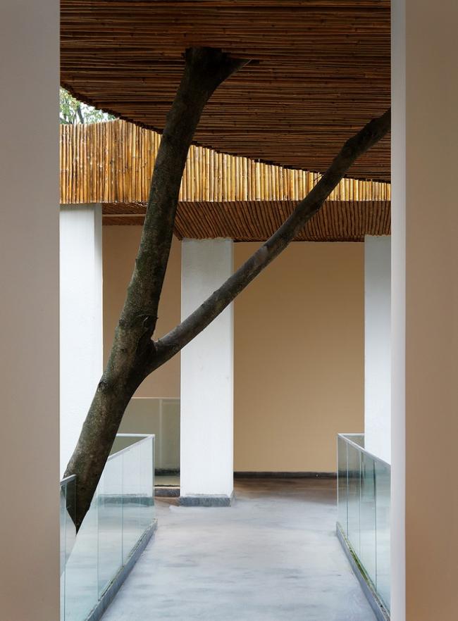 BIM建筑|年夜山的轮廓：重庆南山里平易近宿 / 鳞见设计