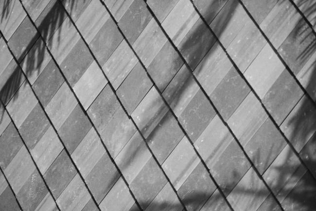 BIM建筑|万科西双版纳文化展厅 / XAA詹涛工作室