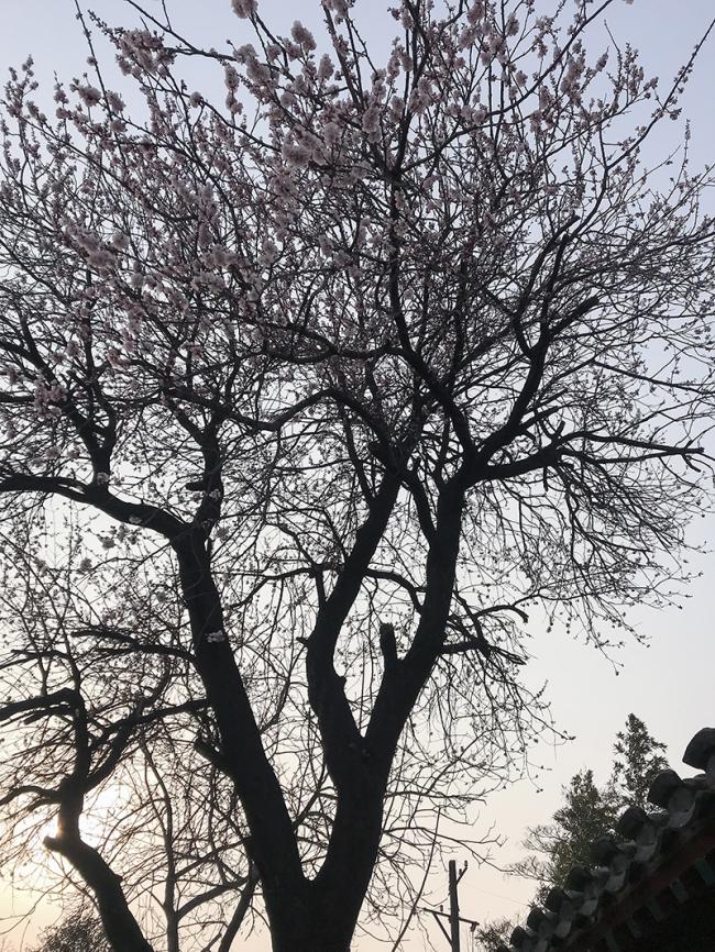 BIM建筑|茶院·草厂北巷24号改革丨兼建筑