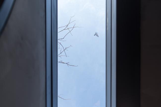 BIM建筑|茶院·草厂北巷24号改革丨兼建筑