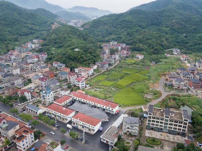 BIM建筑|侠父村农贸市场 / 本构建筑事务所