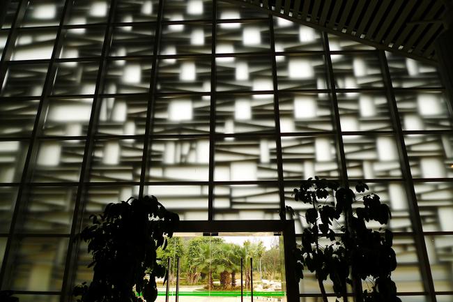 BIM建筑|柳州奇石展览馆丨天津年夜学建筑计划设计研讨总院，张华传授工作室