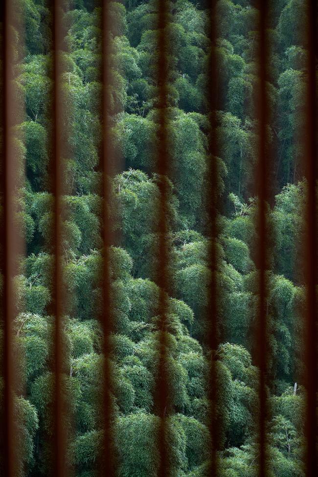 BIM建筑|安吉尔庐度假酒店丨中国美术学院景致建筑设计研讨总院