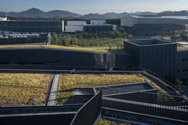 BIM建筑|gad作品 | 一场有关“场合”的建筑摸索——浙江音乐学院音乐系群