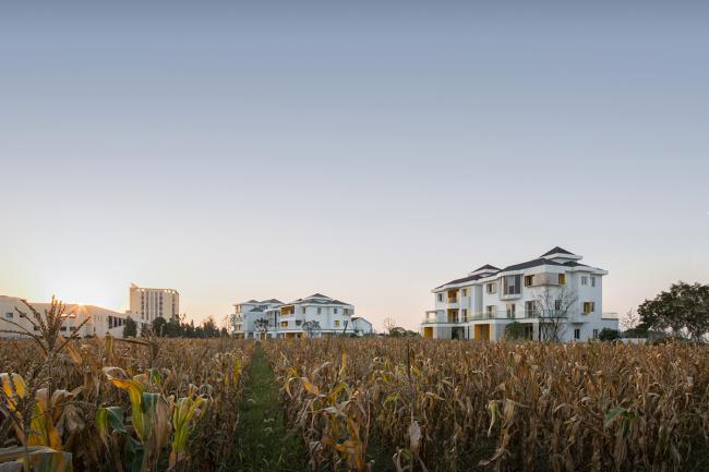 BIM建筑|虹越园艺社区改革 | 杭州森上建筑设计