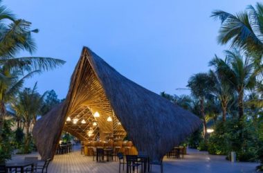 BIM建筑|欲展翅翱翔：火烈鸟竹制展馆-BIM建筑网