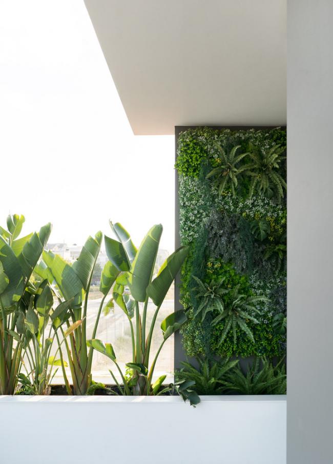 BIM建筑|年夜简至繁，横条纹也能小清爽的西班牙水族馆室第