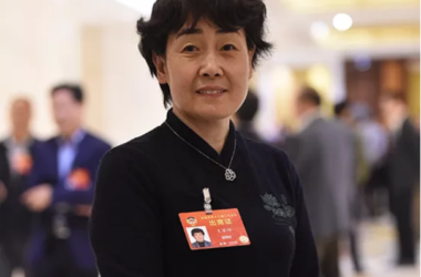 装配式|王翠坤：加强数字城市顶层设计、助力数字中国建设-BIM建筑网