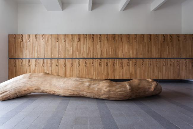 BIM建筑|奶油袍与小红帽：贾拉·西曼小学