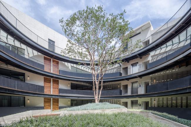 BIM建筑|MX581公寓／HGR Arquitectos